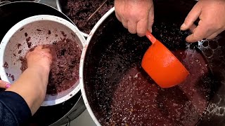 Making Homemade Wine! Part 2 | Filtering & Fermentation Stage