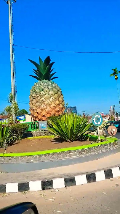 subang kota nanas, tugunya pun nanas juga #jalanjalan #kuliner #subang #nanasmanis