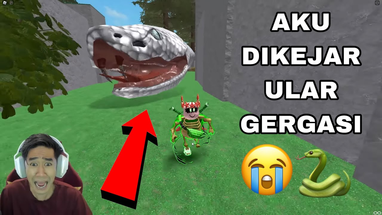 AKU DIKEJAR ULAR GERGASI 😱 ESCAPE GIANT SNAKE OBBY 🐍