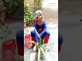 Green Pakistan