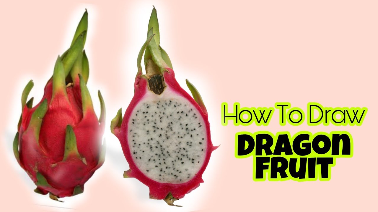 How To Draw A Dragon Fruit Easy Step by Step Dragon Fruit Drawing