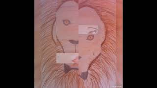 Maraqli. Sekiller. .3