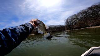 Easy way to limit out spring crappie!!!!