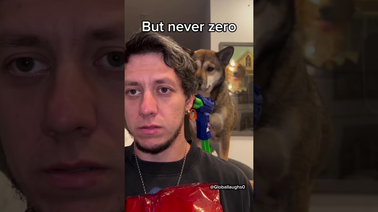 The Chances of Being Killed by Your Dog Are Low… But Never Zero 😂🐶