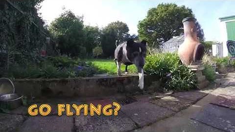 Wizard x220 FPV - Keep fit, fly FPV