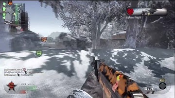 Black Ops: Domination Array 46-2 + Update