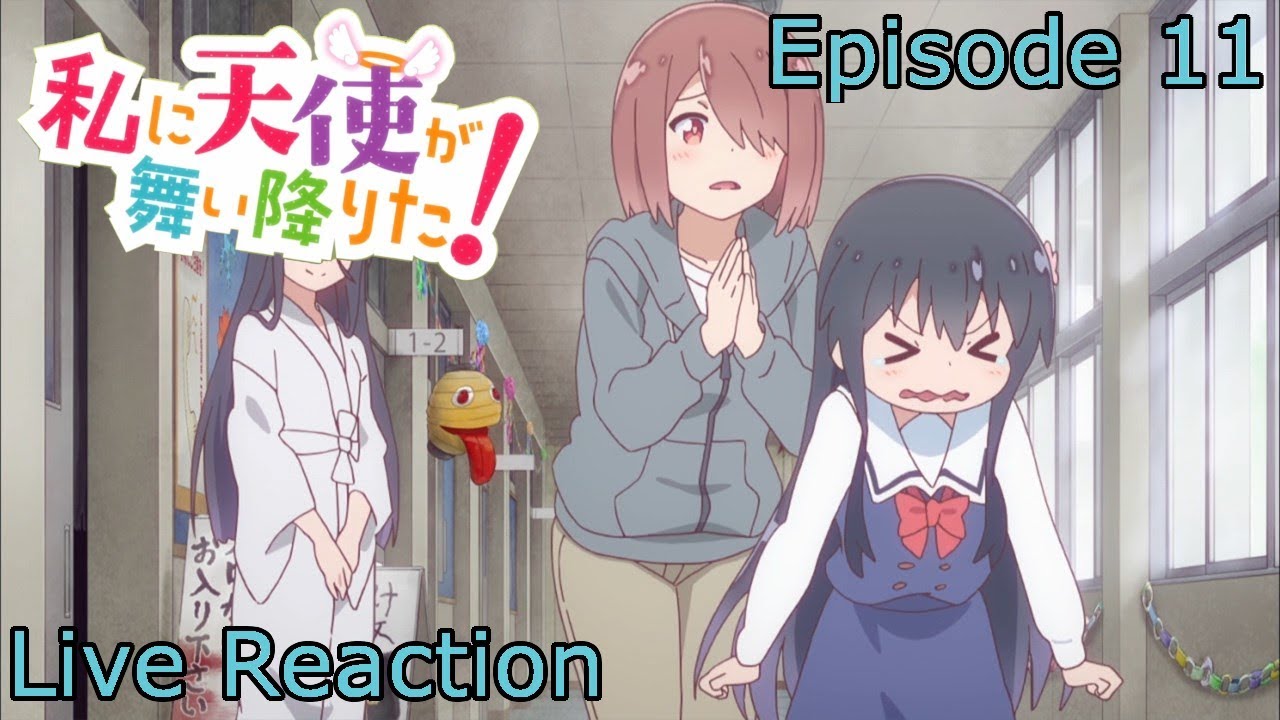 Watashi ni Tenshi ga Maiorita! Episode 11 - Watch Watashi ni Tenshi ga  Maiorita! E11 Online
