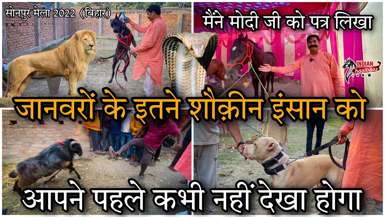 जानवरों के इतने शौक़ीन इंसान को आपने पहले कभी नहीं देखा होगा Sonepur Mela 2022 (Bihar)