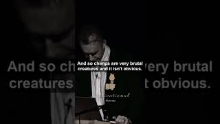 " Chimps are very BRUTAL creatures and it isn't OBVIOUS" - Jordan Peterson #shorts