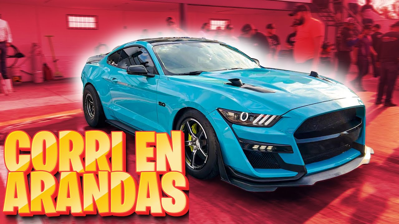 CORRI EL COYOTE EN ARANDAS !