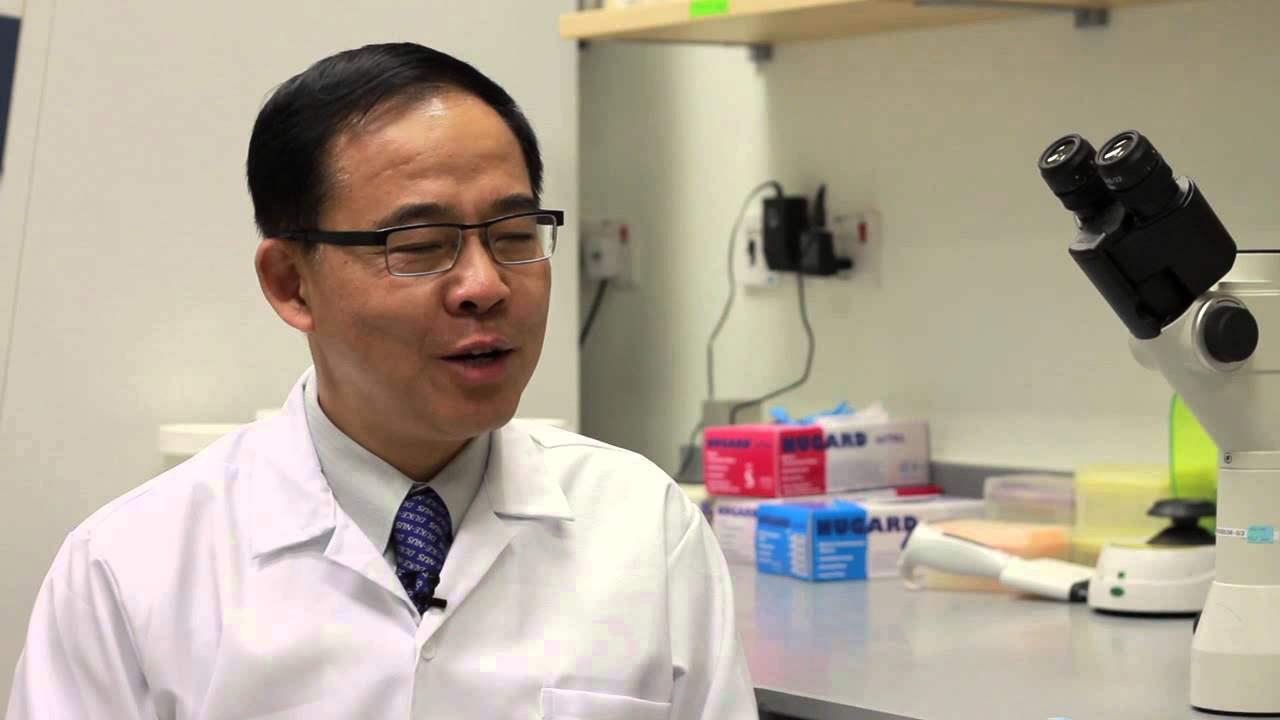 Meet our PhD Faculty - Professor Wang Linfa