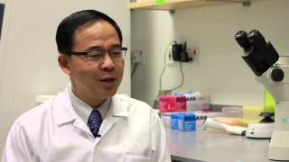 Meet our PhD Faculty - Professor Wang Linfa