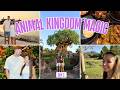 Animal Kingdom Adventure + Secret Fireworks View at Ohana 🌴✨ Disney World Day 3 Vlog! March 2026