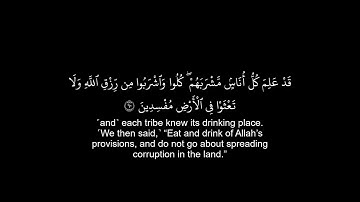 سورة البقرة كروما من اية 58 الى 61 (Surah Al-Baqarah, from verse 58 to 61.) للقارئ ياسر الدوسري