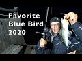 ТЕСТ СПИННИГА FAVORITE Blue Bird 2020. ПЛЮСЫ И МИНУСЫ.