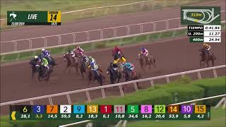 Vidéo de la course PMU PRIX EL FARAON