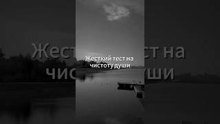 Грязь в доме или грязь в душе?психология #мудрость #настоящаядружба #благодарность #саморазвитие