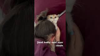 Kediliev 🫠 #keşfet #keşfetbeniöneçıkar #komedi #müzik