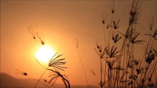 (background video) matahari terbenam,
