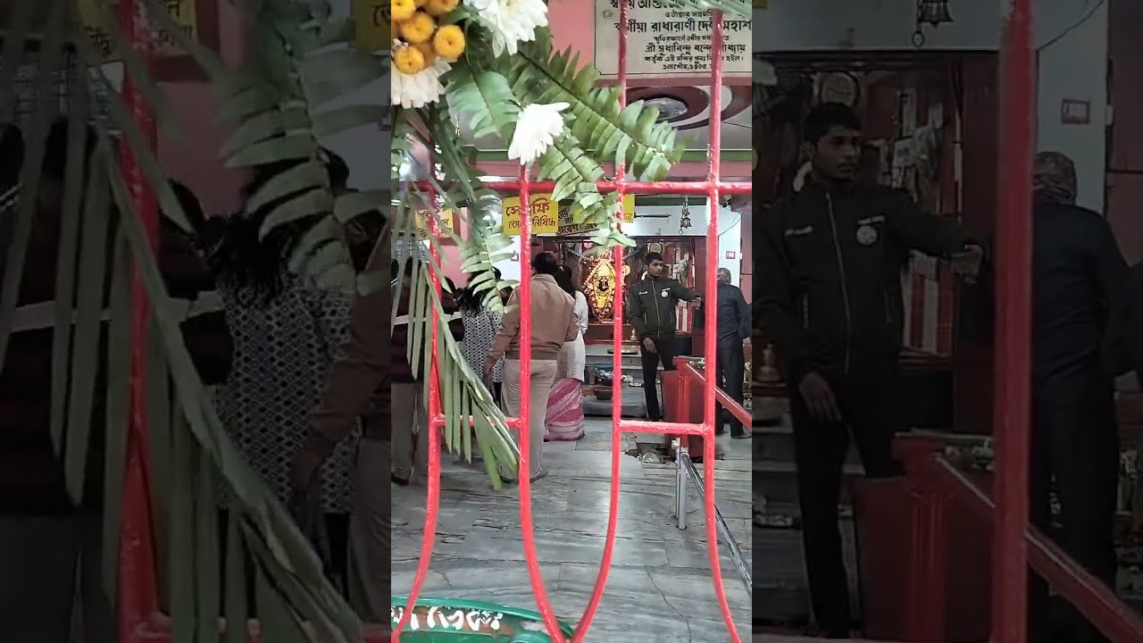 জাগ্রত পুরাতন মন্দির সাতভাই কালিতলা মন্দির প্রাঙ্গণ ও অপূরূপ সজ্জিত মাতৃ প্রতিমা দর্শন 