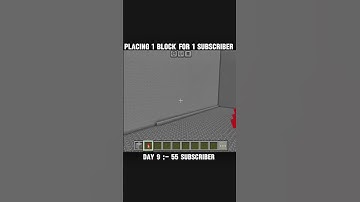 Placing 1 Block For Every Subscriber 🧱 #shorts #minecraft