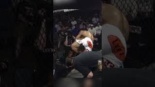 One Of The Craziest Submissions Ever Toby Imadas Inverted Triangle