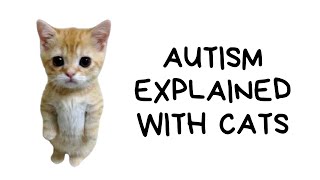 Celebrity Autism Explained with Cats Net Worth
