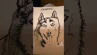 Inktober day 4 #husky #art Inktober day 4 #husky #art
