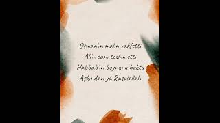 Aşkından Yâ Rasulallah - Aşkın Menbağı
