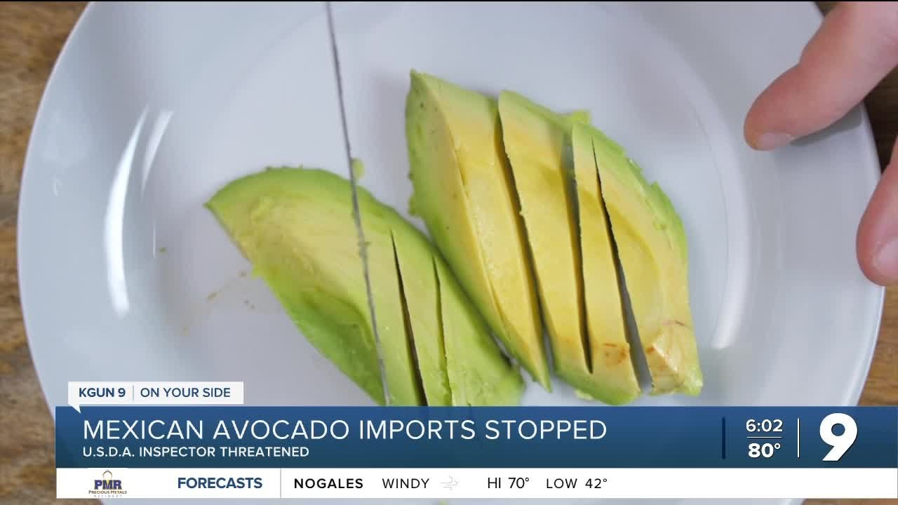 Avocado imports from Mexico on hold YouTube