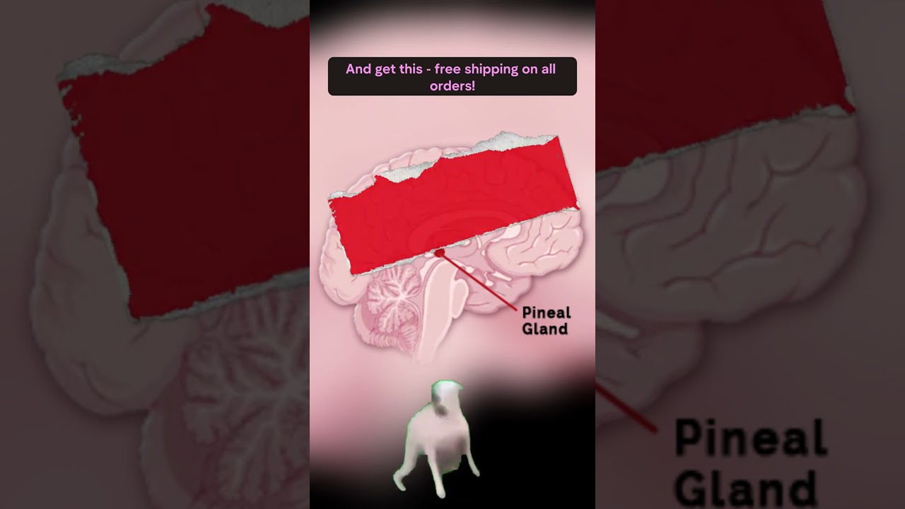 Pineal XT Supplements – A Game Changer for Wellness!