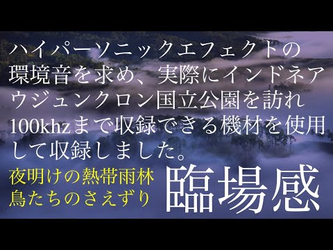 ハイパーソニック・エフェクト / Hypersonic Effect - YouTube