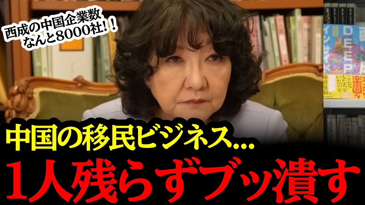 【片山さつき】”中国移民ビジネス”にマジギレ！ついに宣戦布告で大掃除！！#自民党#国民民主党#神谷宗幣#吉川りな#財務省#立憲民主党#れいわ新選組#参政党#日本保守党