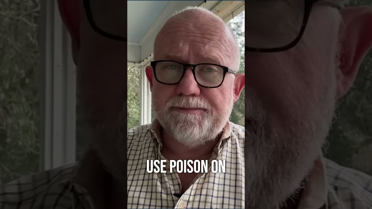 We have abandoned the allies of good.