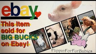 Enter to win $25 by watching & commenting. It didn't Sell for $3 in our shop, on Ebay it went BOOM! by Where Pigs Fly Farm 137 views 2 years ago 15 minutes