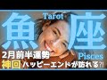 【魚座】2025年2月前半の運勢🎉神回❤️太陽の輝きを取り戻し☀️特大の豊かさを引き寄せる🙌タロット占い