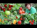 Garden Harvest Compilation 2