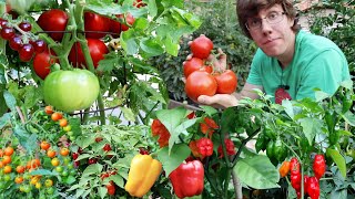 Garden Harvest Compilation 2