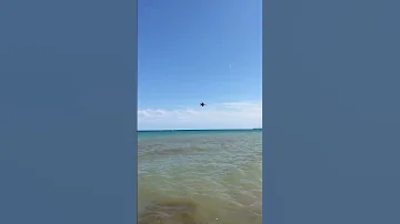 Blue Angels At Milwaukee Air And Water Show 2025 