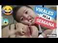 ✅ VIDEOS DE RISA 2019 🤣 virales de la semana de facebook y whatsapp - si te ries pierdes