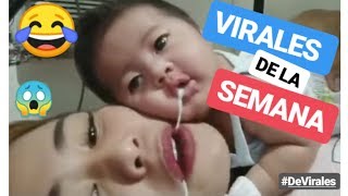 ✅ VIDEOS DE RISA 2019 🤣 virales de la semana de facebook y whatsapp - si te ries pierdes