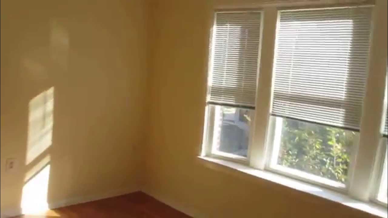 Spacious And Affordable 2 Bed Room Apartment For Rent! North Austin / Chicago, IL YouTube