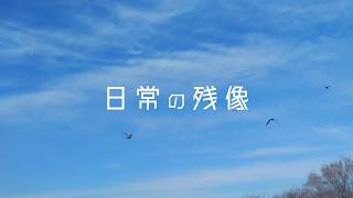 日常の残像 / 初音ミク 【オリジナル曲】