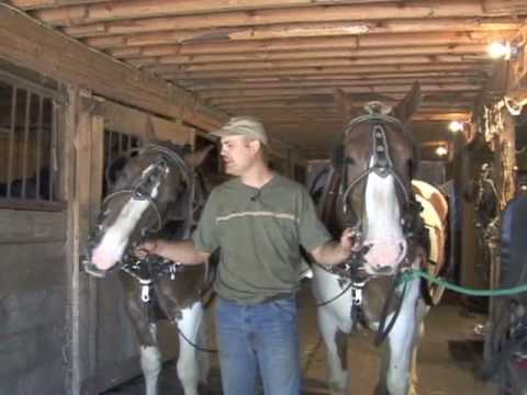Harnessing Work Horses