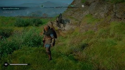 Call Mount - Assassin