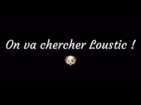 On va chercher Loustic ! #1 - YouTube