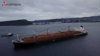 Fosfoquim - Fumigacion Barcos de Madera con HDS y fosfina pura - Puerto Montt, Chile - 2021