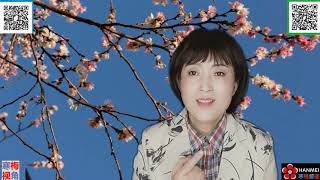 20200425 2【纽约州随机抗体检测报告显示，全州估计270万人感染】【寒梅视角】