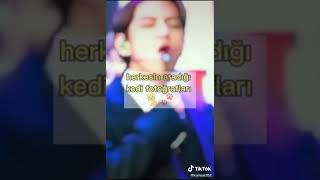 herkesin aradığı kedi fotoğrafları screenshot 5