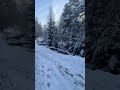Piękna, spokojna beskidzka zima❄️